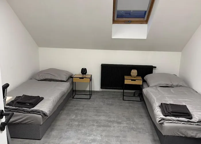 Deluxe 公寓 特普利采